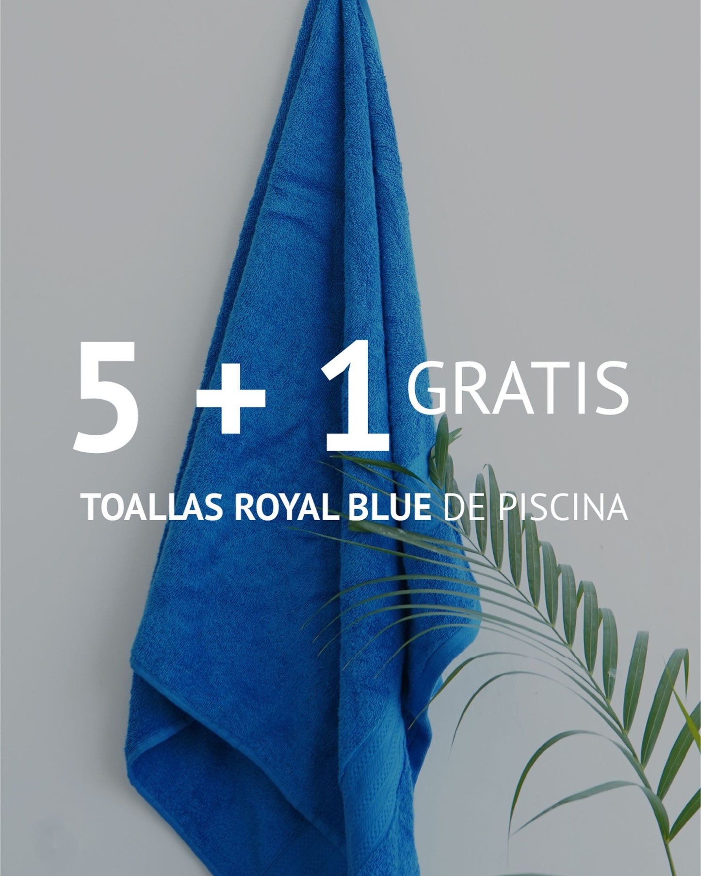 JUEGO DE 6 TOALLAS DE PISCINA 606gr